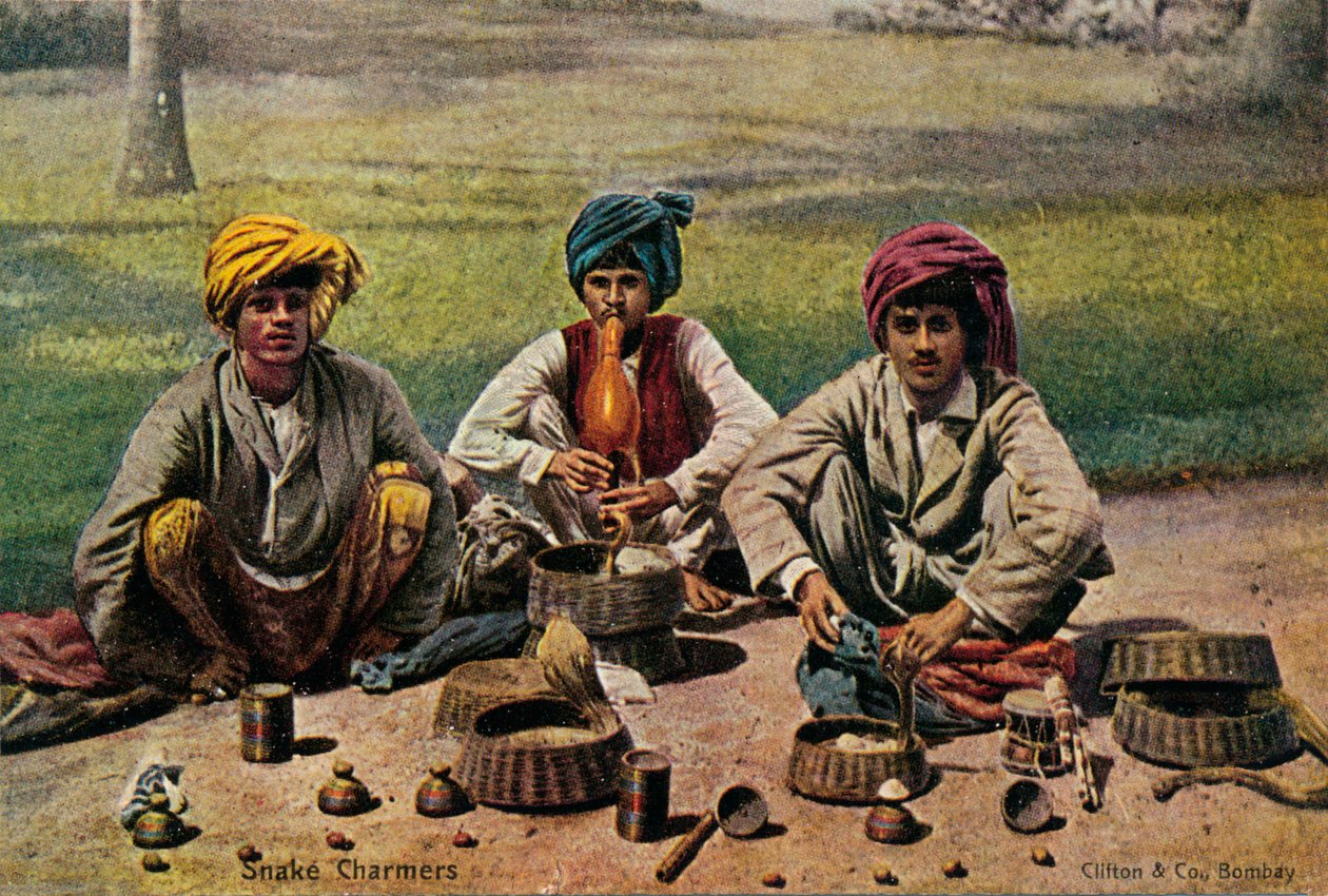 ثعبان تشارمرز ، c1910. بواسطة غير معروف