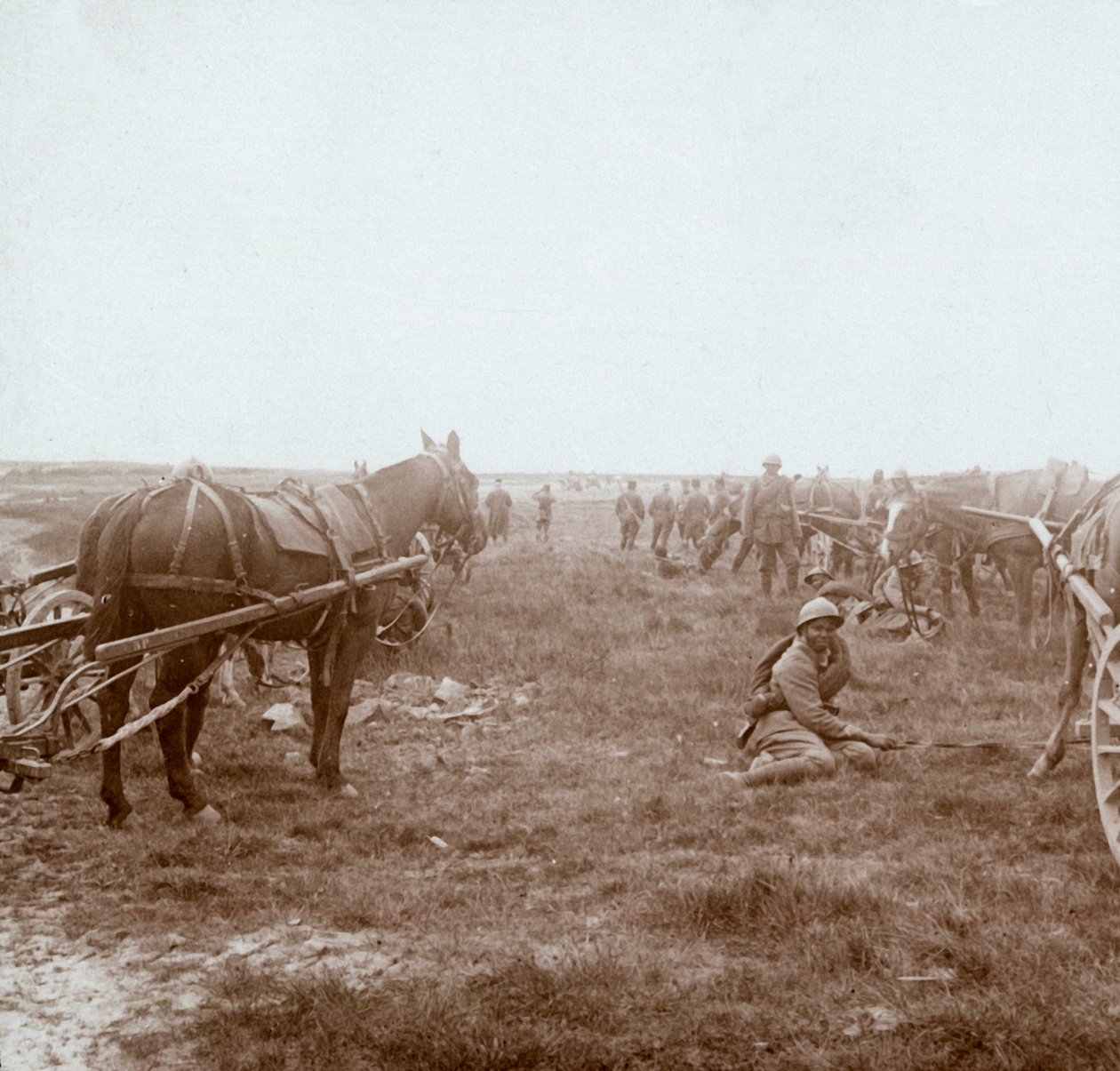 الجنود والمدفعية التي تجرها الخيول ، c1914-c1918 بواسطة غير معروف