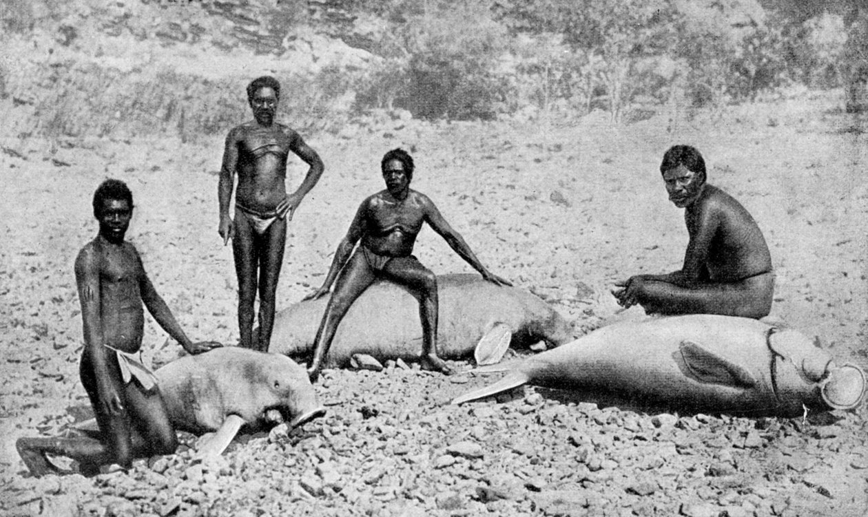 خروف رمح ، شمال غرب أستراليا ، 1922 بواسطة غير معروف