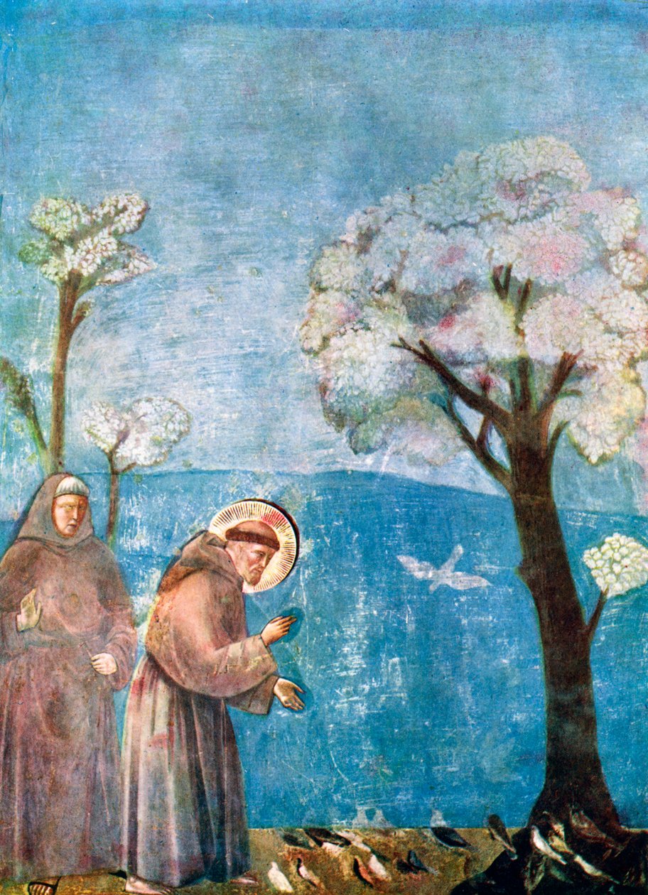 القديس فرنسيس الوعظ للطيور ، 1297-1299 ، c1900-1920 بواسطة غير معروف