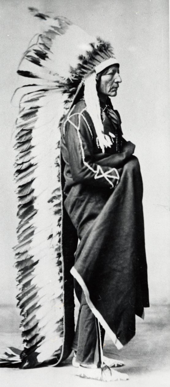 الدب الدائم ، رئيس داكوتا سيوكس ، هنود أمريكا الشمالية السهول ، c1885-c1890 بواسطة غير معروف