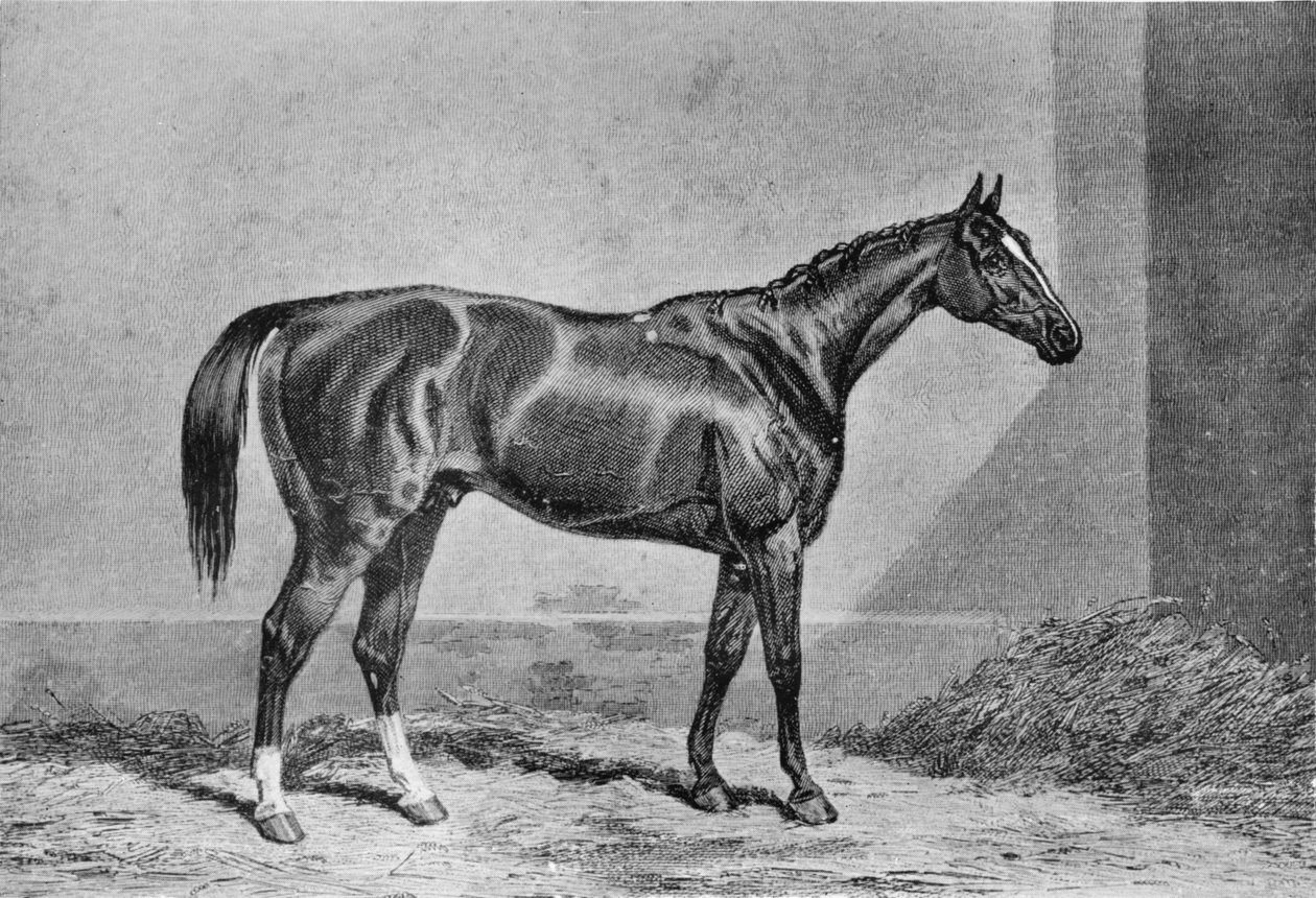 ستوكويل ، 1849-1871 ، 1911 بواسطة غير معروف