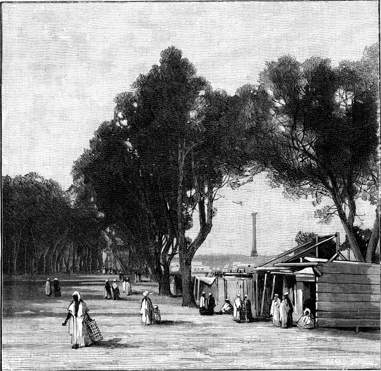 مشهد الشارع مع عمود بومبيز في المسافة ، الإسكندرية ، مصر ، 1900 بواسطة غير معروف