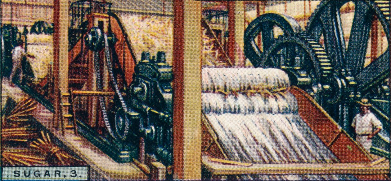 السكر ، 3. سحق العصي ، جاوة ، 1928 بواسطة غير معروف