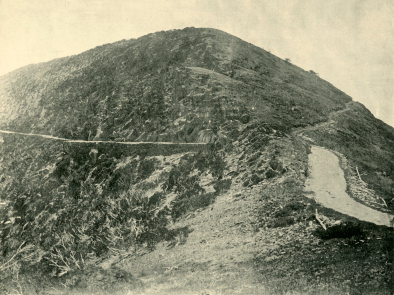 قمة جبل بلوهارد ، جبال الألب الفيكتورية ، 1901. بواسطة غير معروف