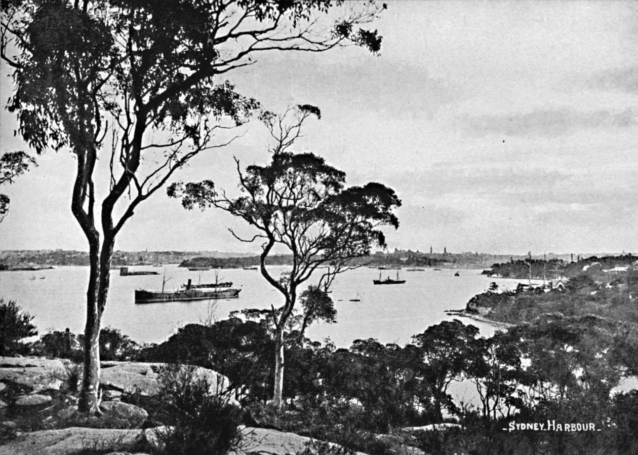 ميناء سيدني ، من Cremorne Point ، c1900. بواسطة غير معروف