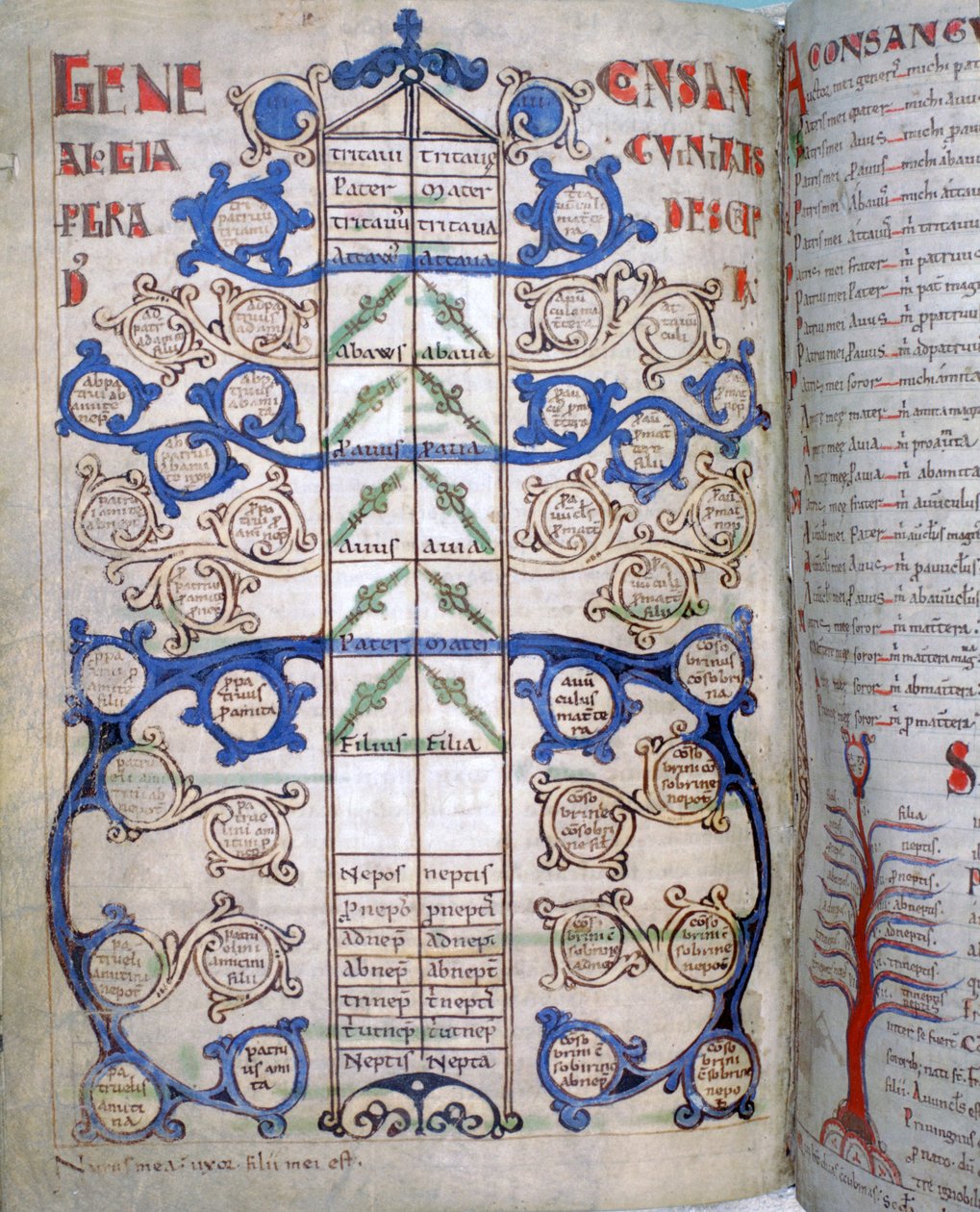 جدول درجات القرابة ، صفحة من Liber Floridus ، القرن الثاني عشر بواسطة غير معروف