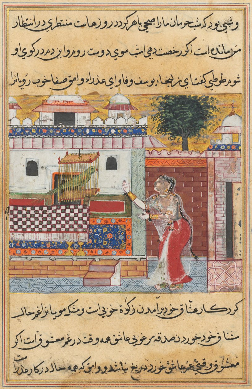 حكايات الببغاء (Tuti-nama) ، الليلة الثانية عشرة ، الببغاء يخاطب خوجاستا في بداية الليلة الثانية عشرة بواسطة غير معروف غير معروف