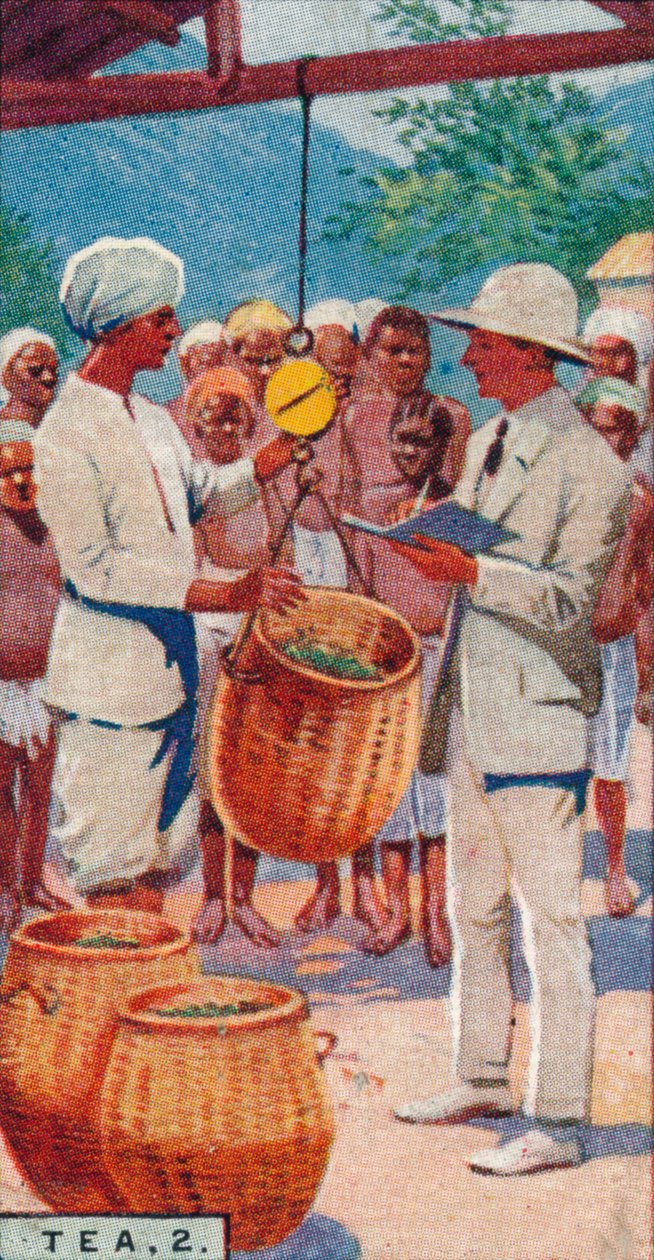 الشاي ، 2. - وزن البيكنج ، سيلان ، 1928 بواسطة غير معروف
