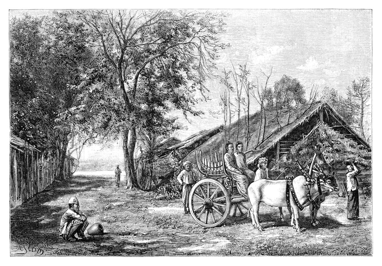 تيناسيريم ، ميانمار ، 1895 بواسطة غير معروف