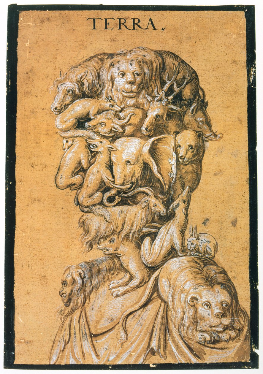 تيرا لاند ، c1600 بواسطة غير معروف