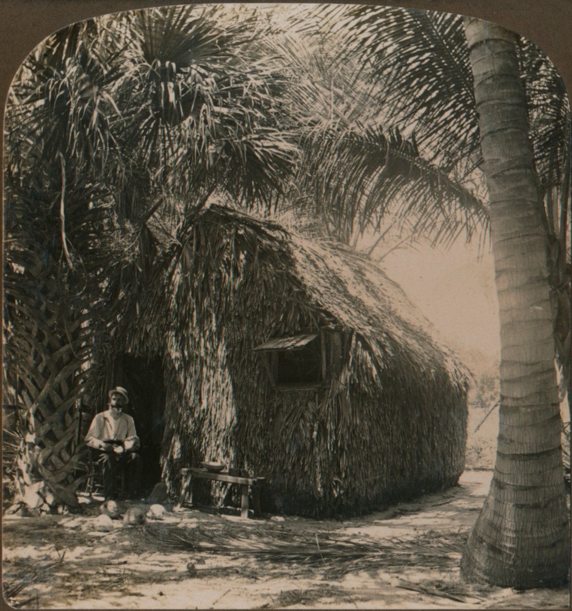 كوخ من القش في Cocoanut Grove ، فلوريدا ، الولايات المتحدة الأمريكية ، c1900 بواسطة غير معروف