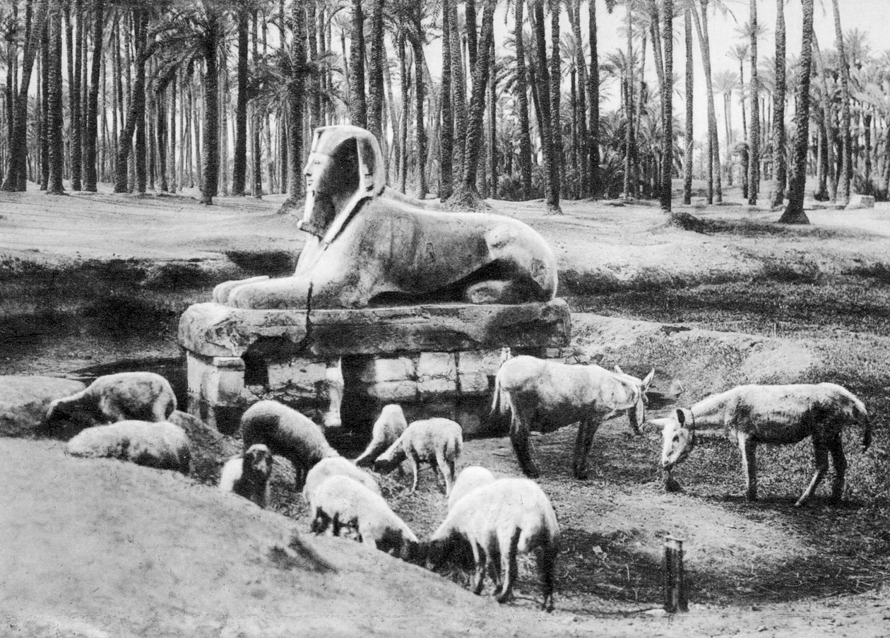 المرمر أبو الهول ، القاهرة ، مصر ، 1920s بواسطة غير معروف