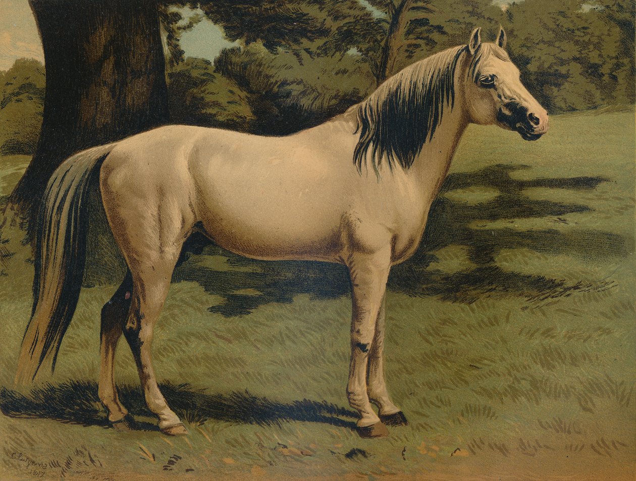 شاحن المهر العربي للجنرال السير هوب جرانت ، c1879. بواسطة غير معروف
