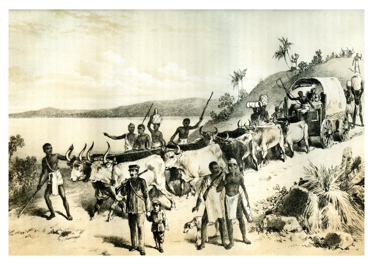 الوصول إلى بحيرة نغامي 1883 بواسطة غير معروف