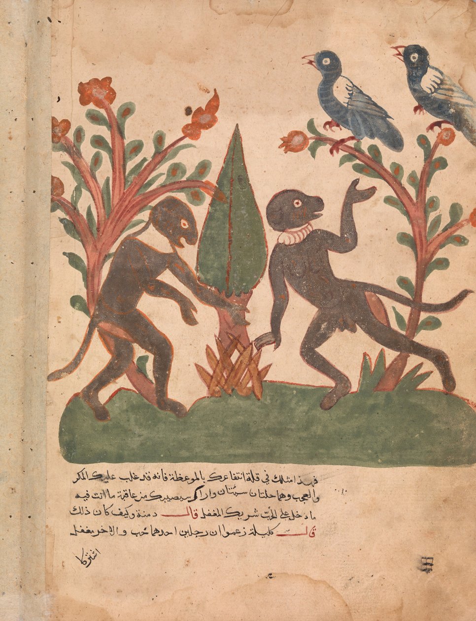 الطيور والقرود مع الدودة المتوهجة ، فوليو من كليلة ودمنة ، القرن الثامن عشر. بواسطة غير معروف