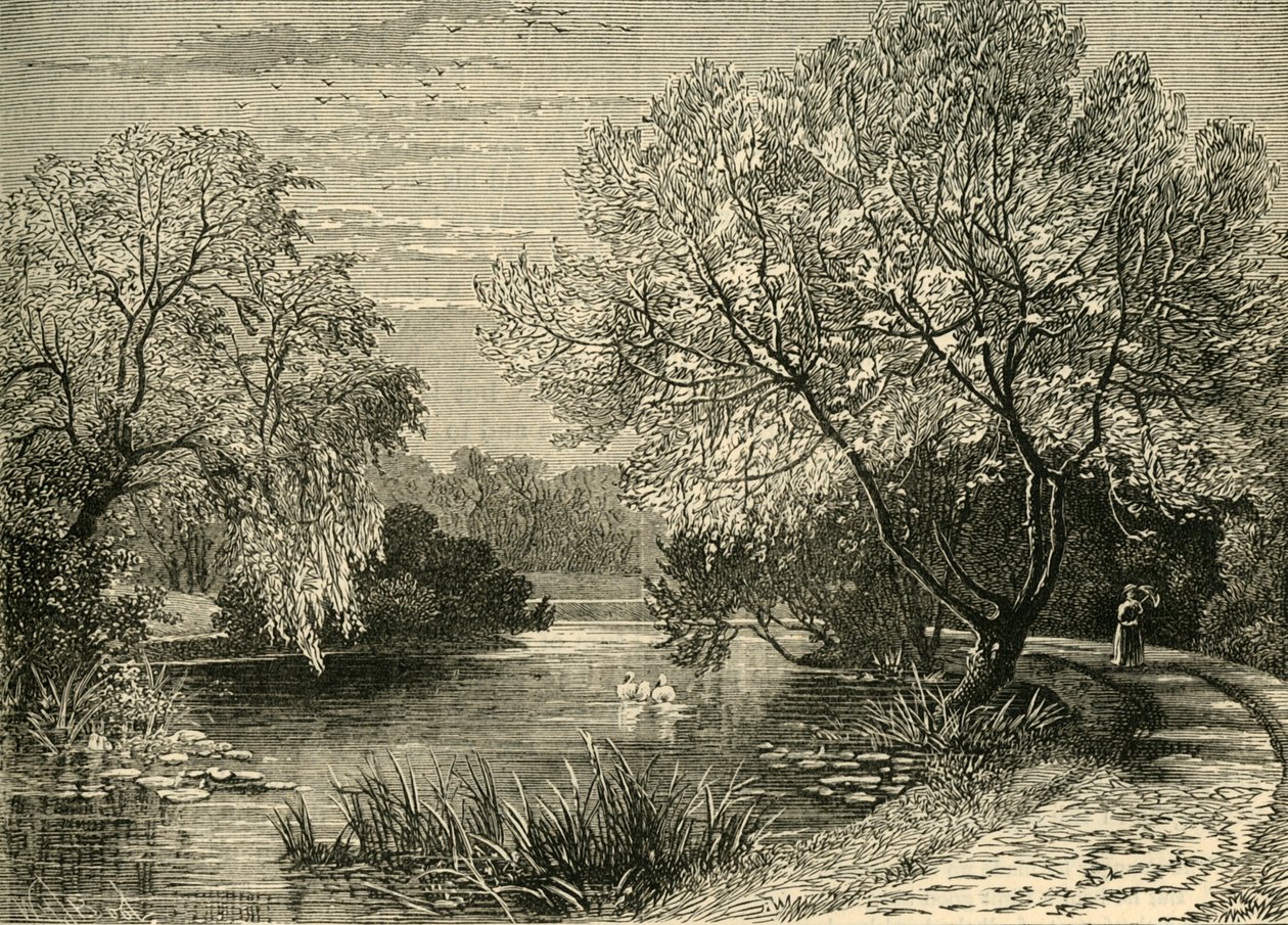 الحدائق النباتية ، ريجنتس بارك ، c1876. بواسطة غير معروف
