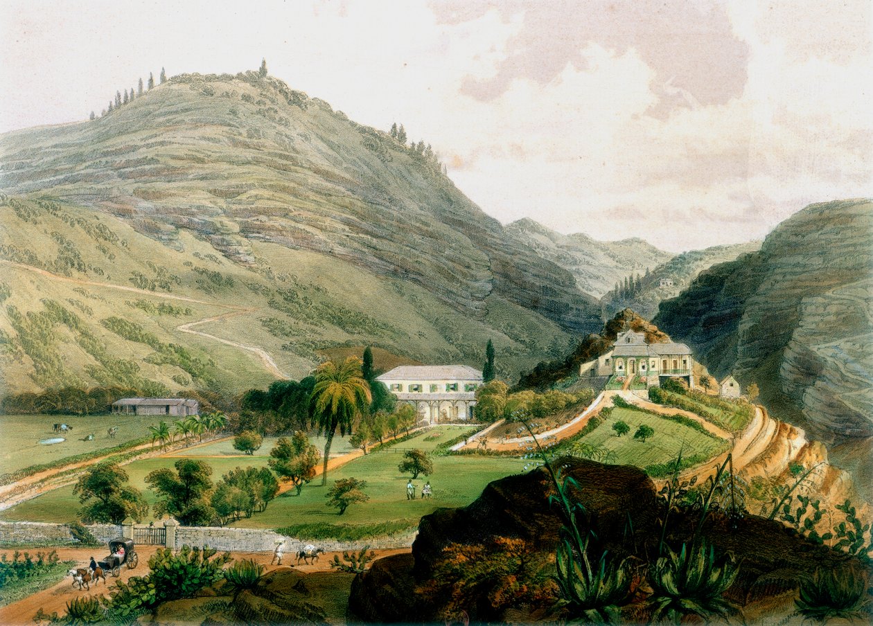 The Briars ، سانت هيلانة ، أوائل القرن التاسع عشر 1851 بواسطة غير معروف