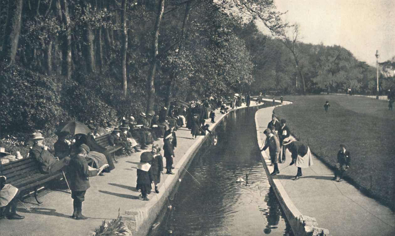The Brook، Lower Gardens، c1910 بواسطة غير معروف
