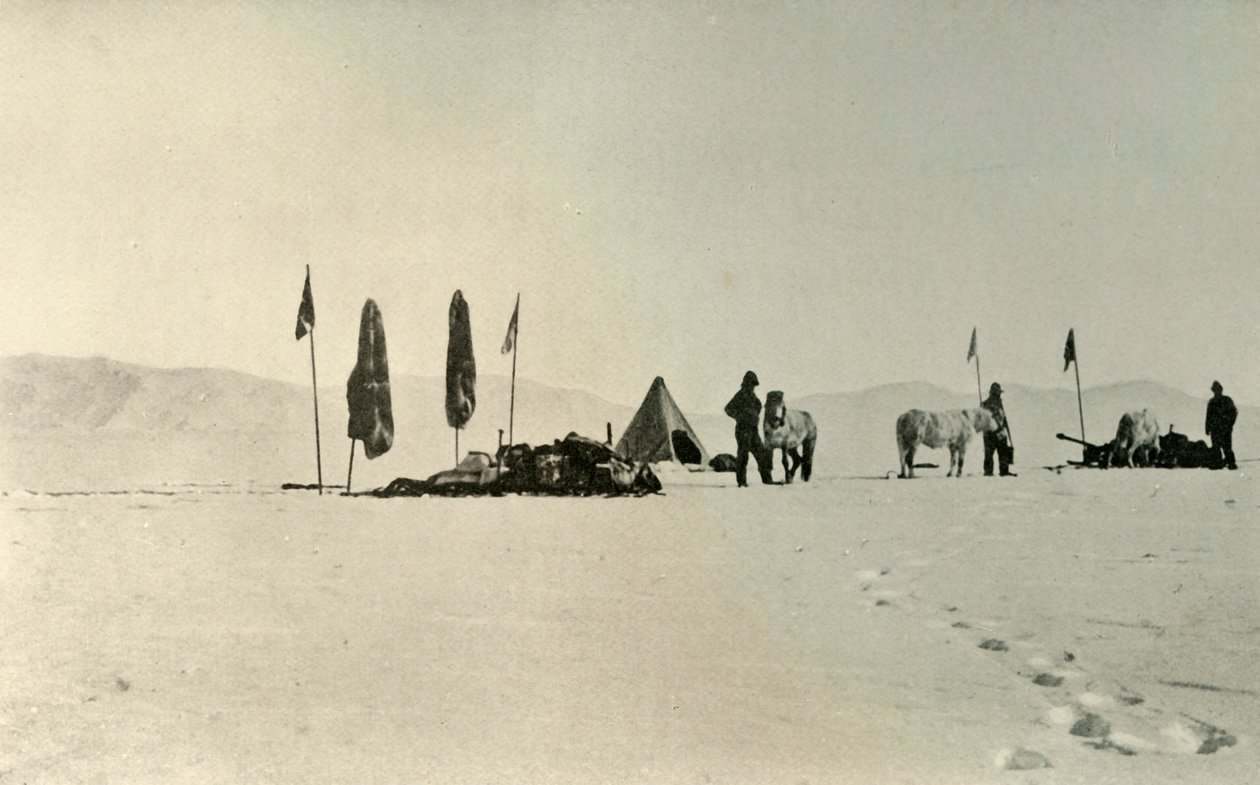 المخيم بعد اجتياز أبعد خط عرض جنوب سابق ، نوفمبر 1908 ، 1909 بواسطة غير معروف