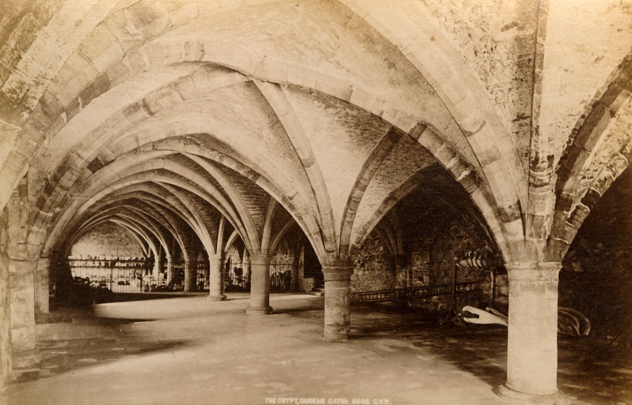 القبو ، كاتدرائية دورهام ، 1893. بواسطة غير معروف