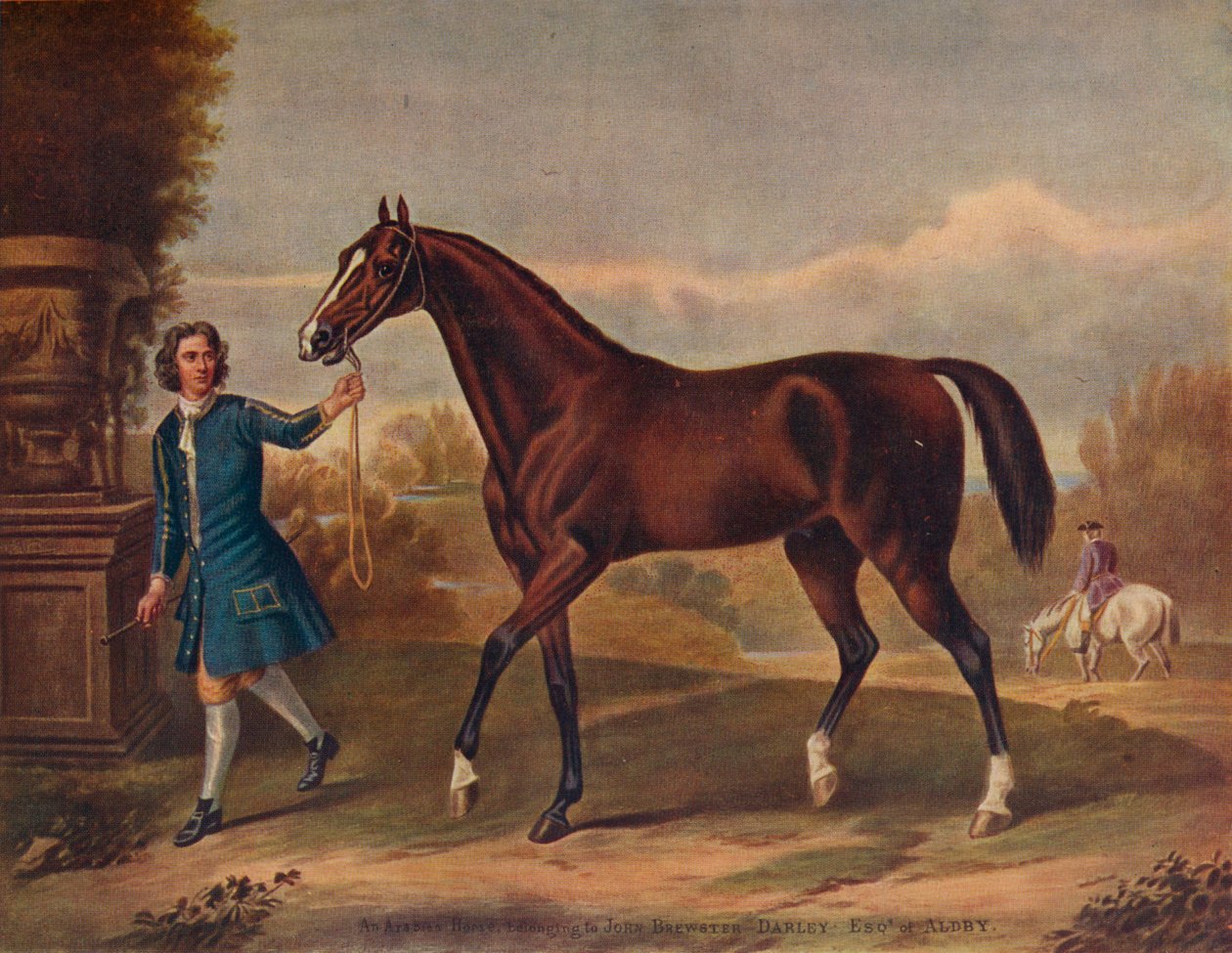 دارلي العربي ، c1720 ، 1922 بواسطة غير معروف