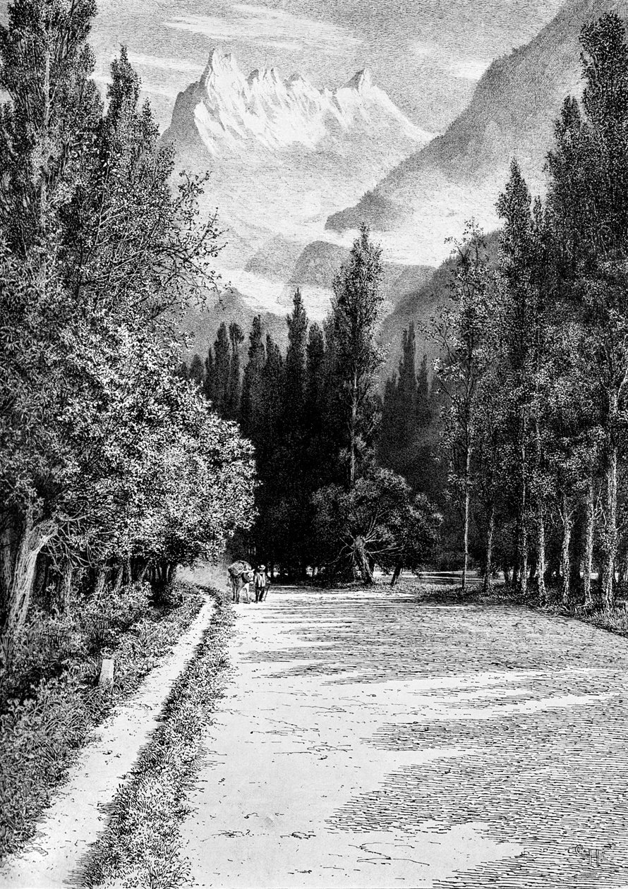 دنت دو ميدي من وادي الرون ، 1900 بواسطة غير معروف