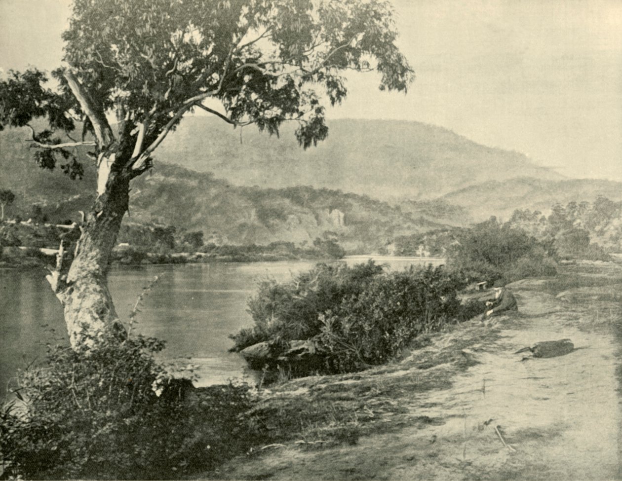الديروينت في نيو نورفولك ، 1901. بواسطة غير معروف