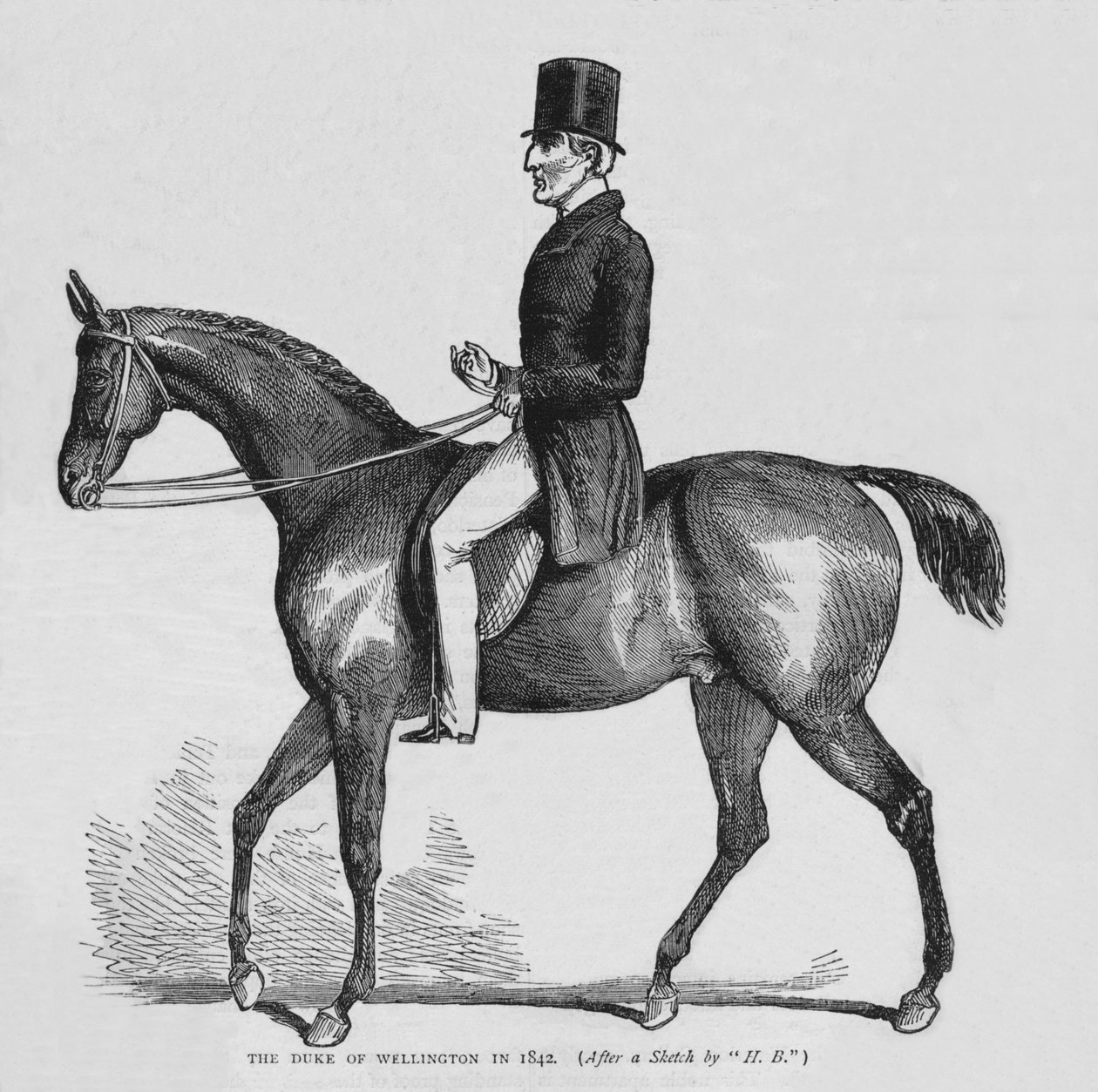 دوق ويلينغتون ، c1842 1878 بواسطة غير معروف