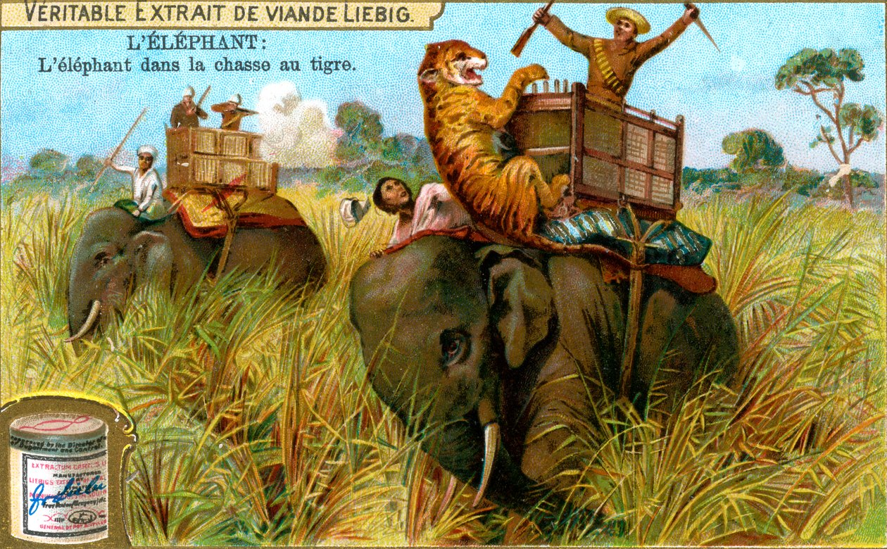الفيل في مطاردة النمر ، c1900 بواسطة غير معروف