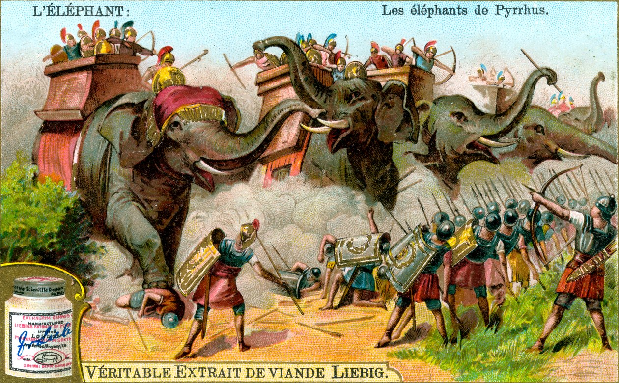 الفيلة بيروس ، c1900 بواسطة غير معروف