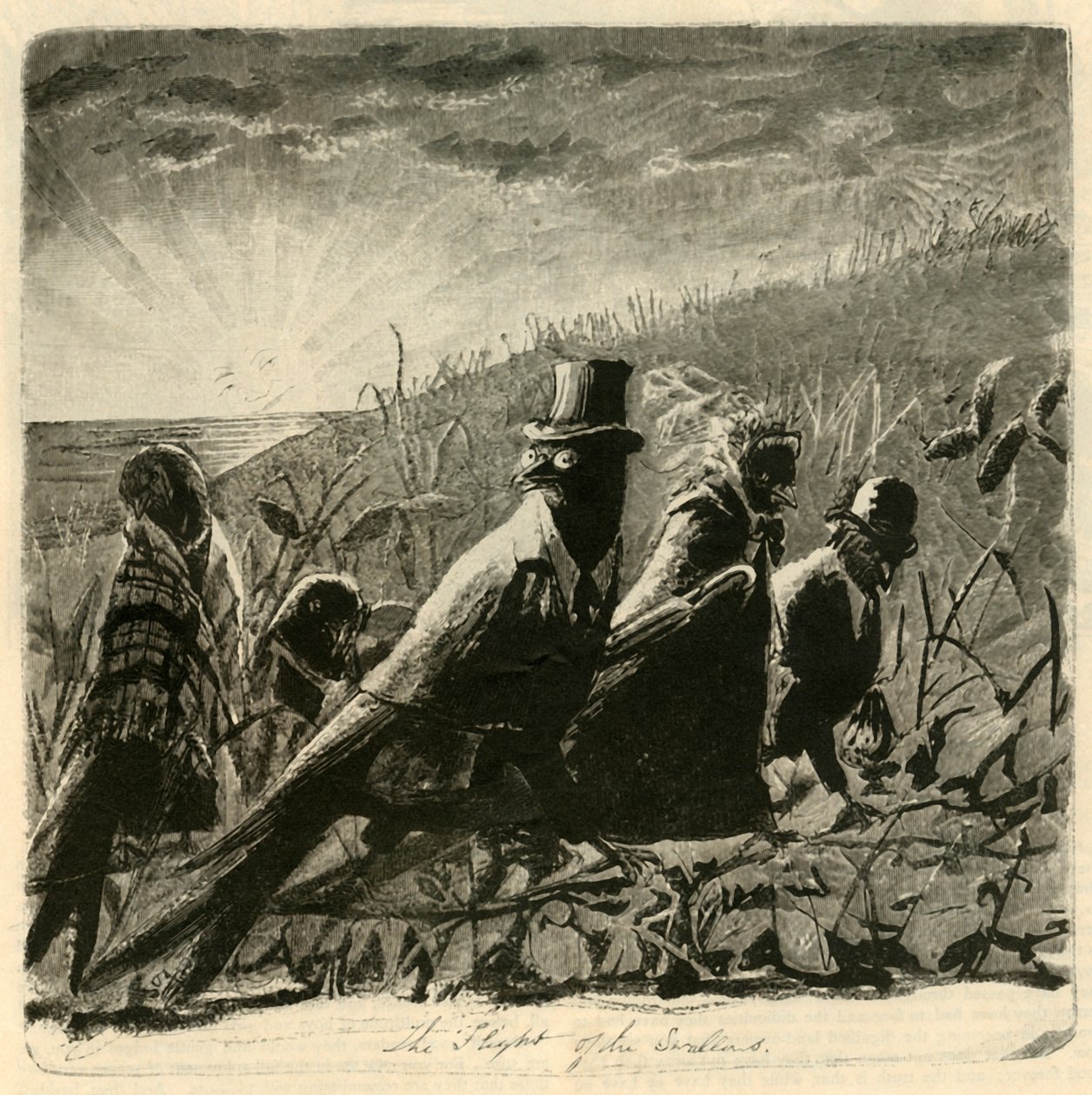 رحلة السنونو ، 1882. بواسطة غير معروف