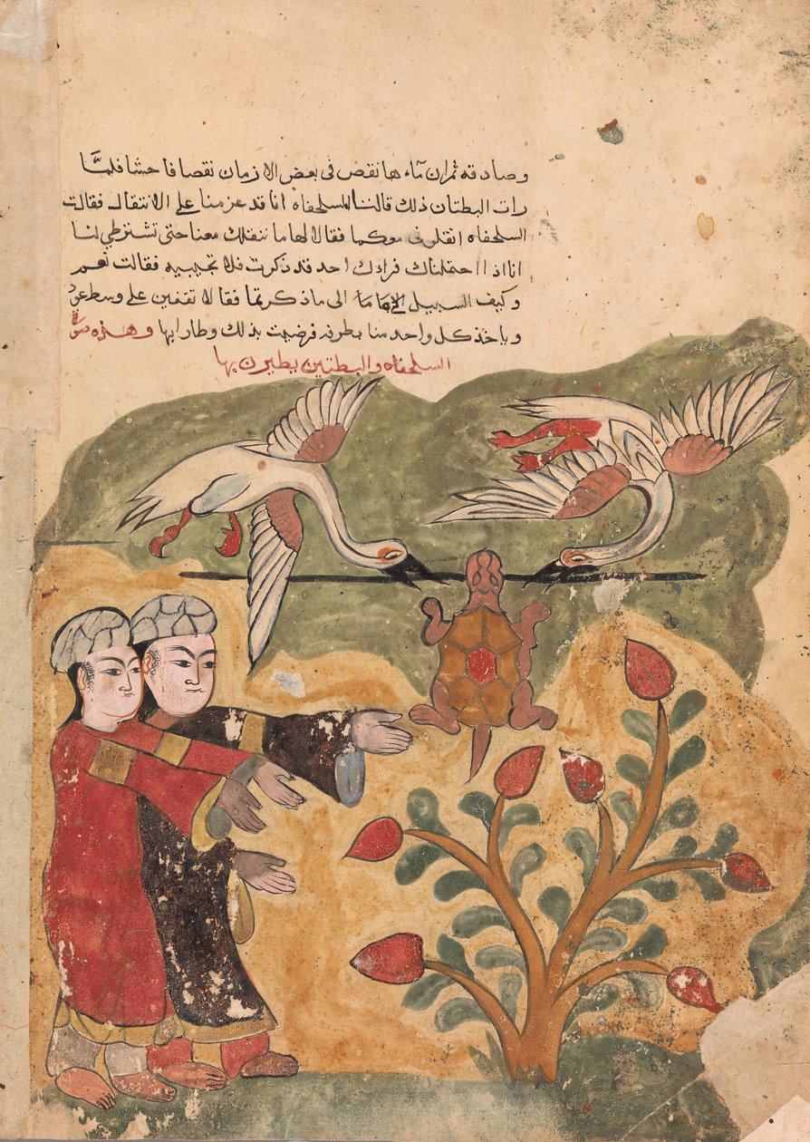 رحلة السلحفاة ، فوليو من كليلة ودمنة ، القرن الثامن عشر. بواسطة غير معروف