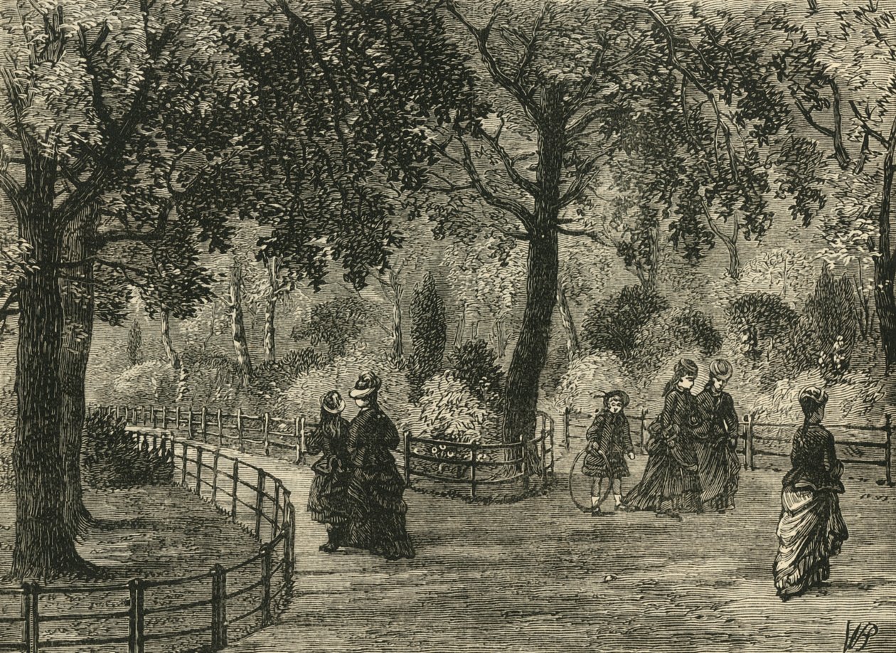 زهرة المشي ، حدائق كنسينغتون ، c1876. بواسطة غير معروف