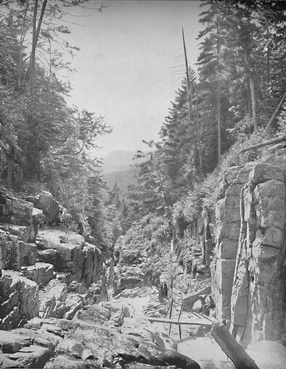 Flume ، فرانكونيا وايت ماونتينز ، NH ، c1897. بواسطة غير معروف