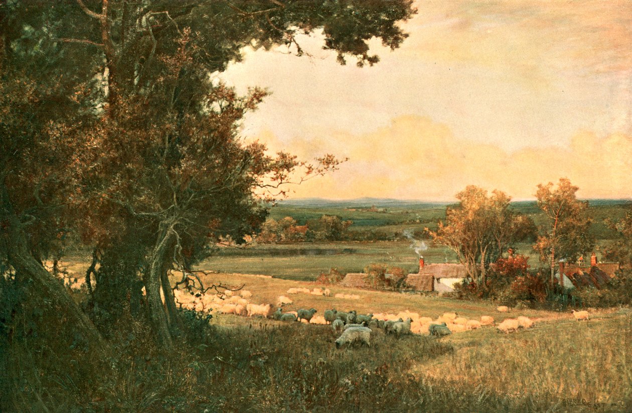 الوادي الذهبي ، c1893 ، c1902. بواسطة غير معروف