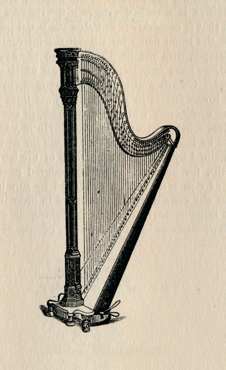 القيثارة ، 1895. بواسطة غير معروف