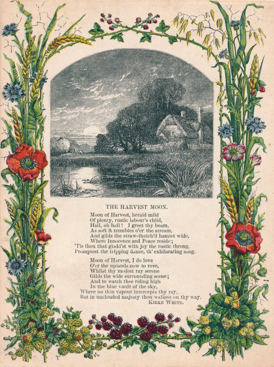 حصاد القمر من كيرك وايت ، c1900 بواسطة غير معروف