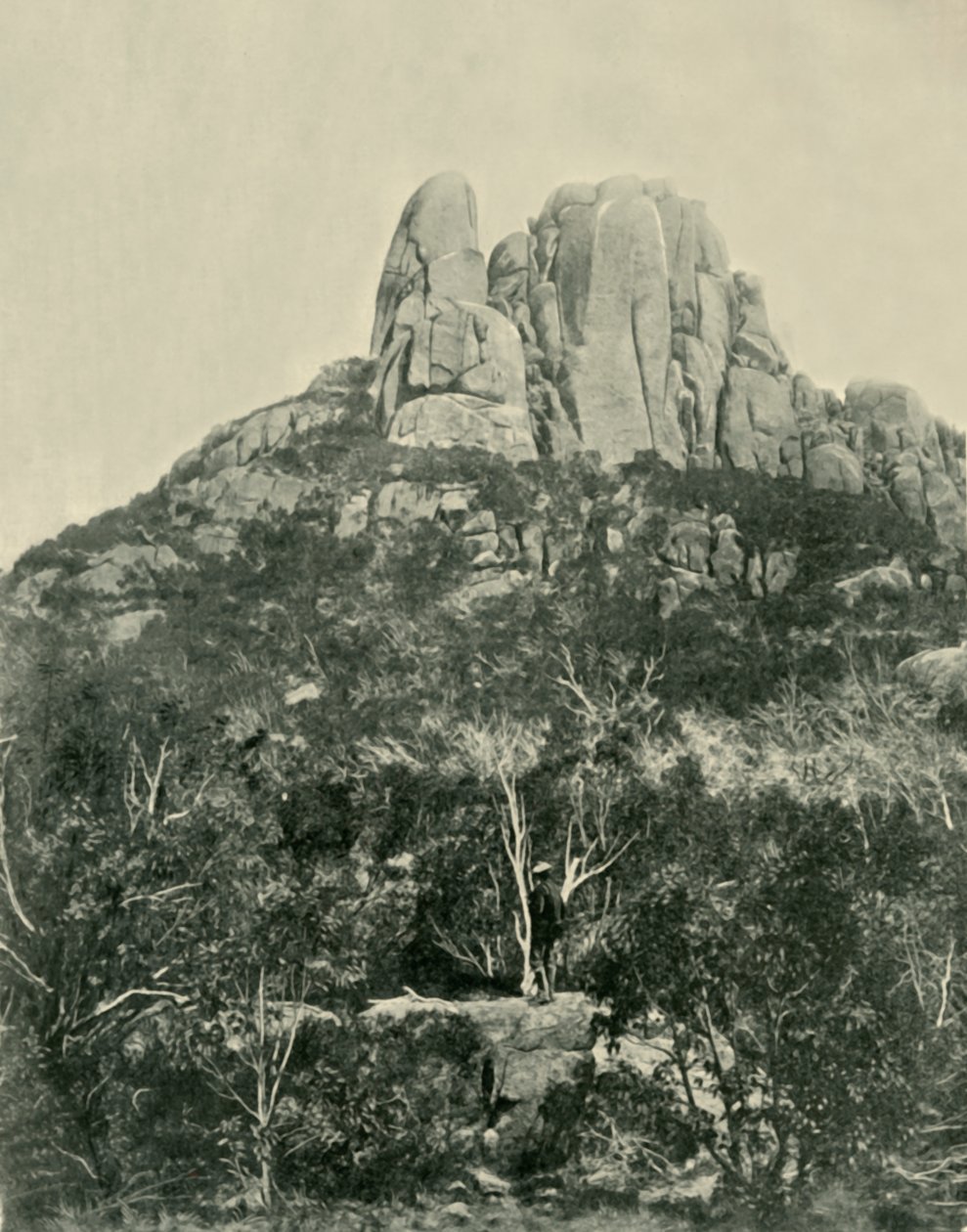 الحدب ، جبال بافالو ، 1901. بواسطة غير معروف