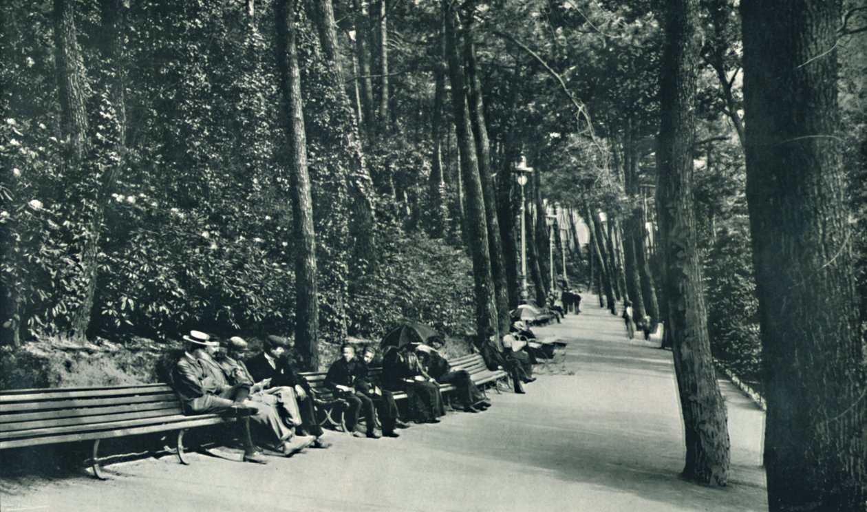 The Invalids Walk ، c1910 بواسطة غير معروف