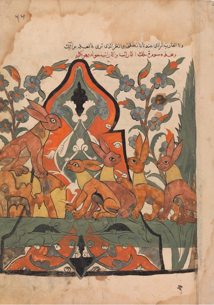 ملك الحارس يتشاور مع رعاياه ، فوليو من كليلة ودمنة ، القرن الثامن عشر. بواسطة غير معروف