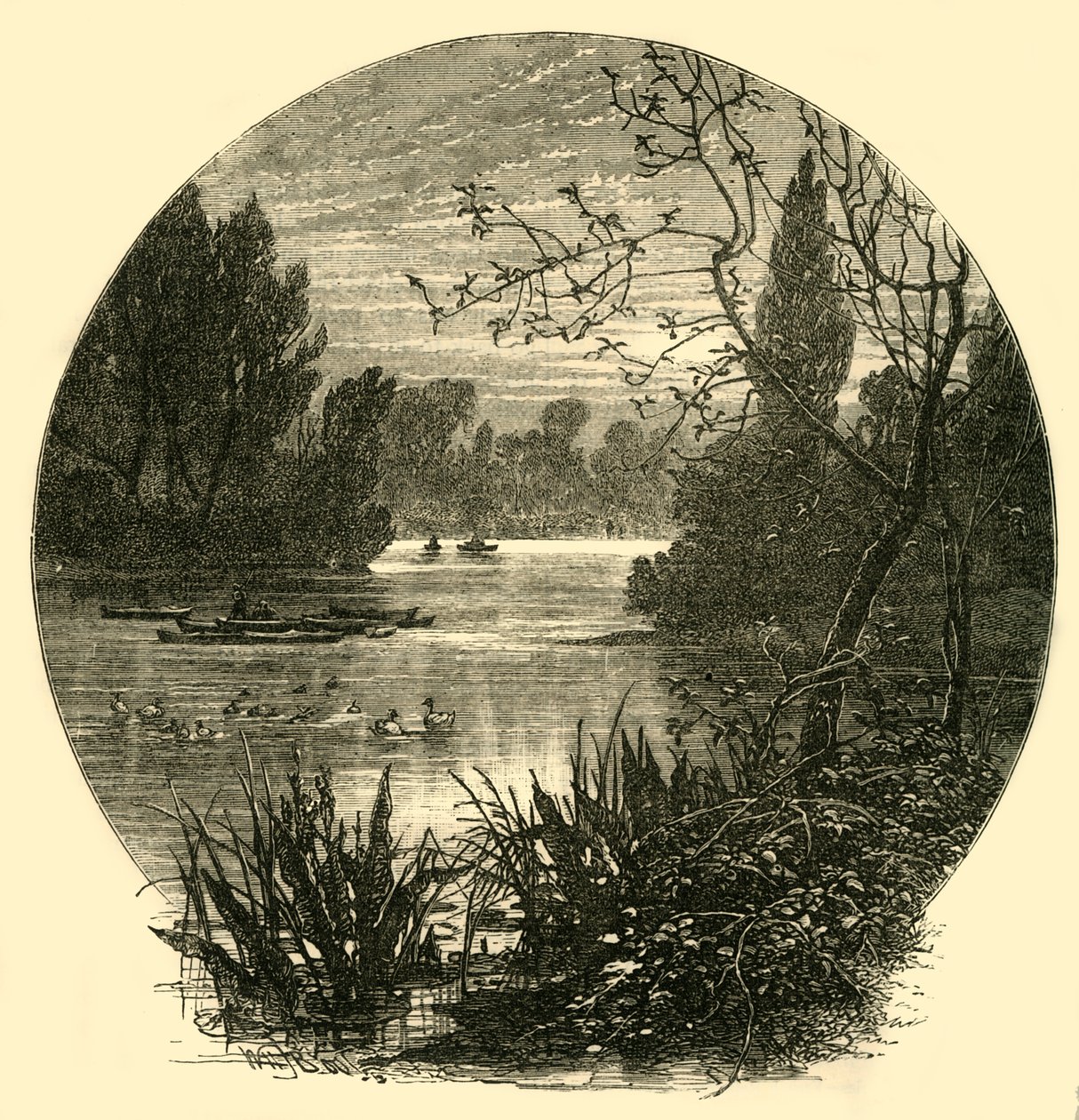 البحيرة ، باترسي بارك ، c1878. بواسطة غير معروف
