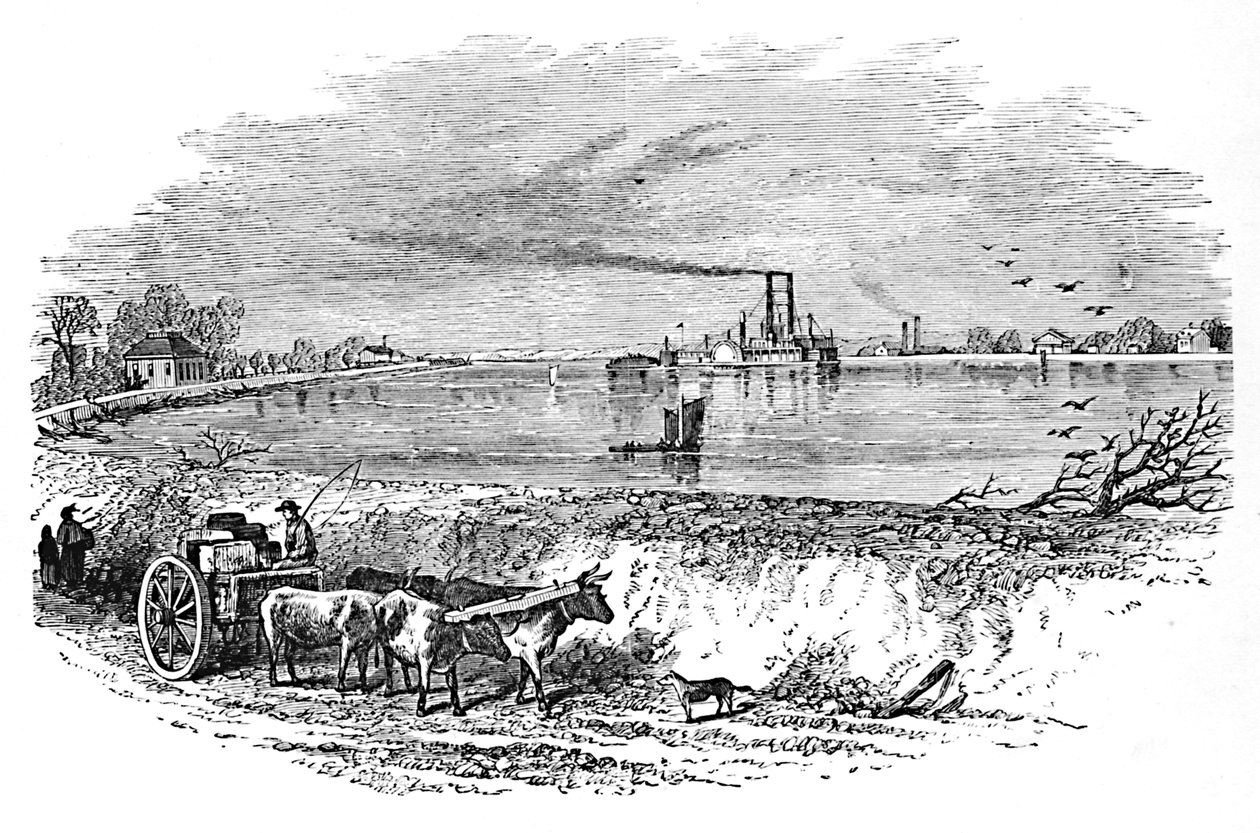 السد ، 1883 بواسطة غير معروف