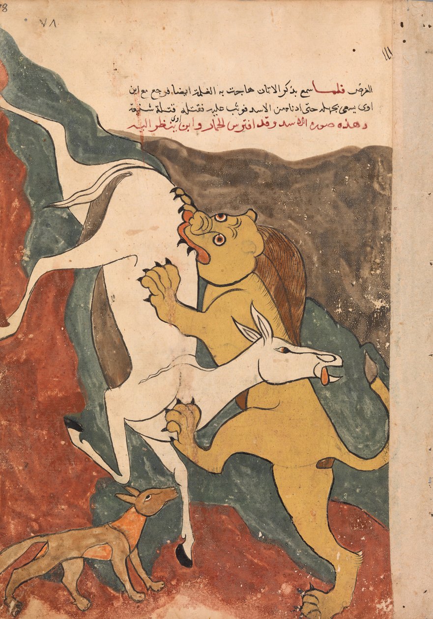 القرد يروي قصة الثعلب الذي استدرج الحمار حتى موته من قبل الأسد ... ، القرن الثامن عشر. بواسطة غير معروف