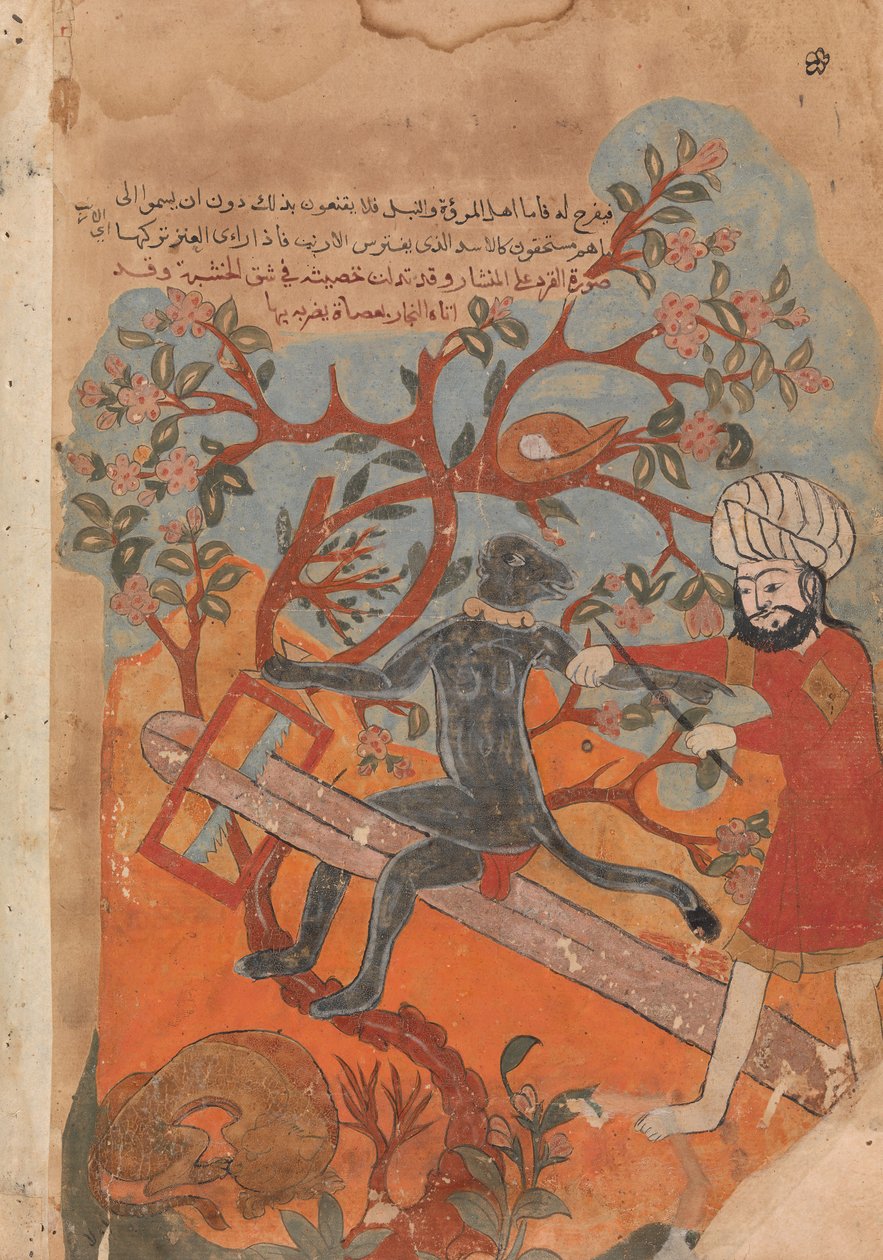 القرد يحاول النجارة ، فوليو من كليلة ودمنة ، القرن الثامن عشر. بواسطة غير معروف
