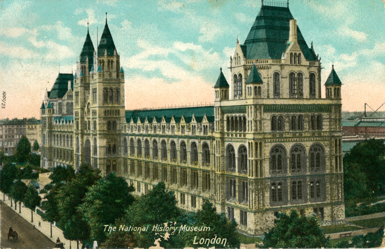 متحف التاريخ الوطني ، لندن ، c1910. بواسطة غير معروف