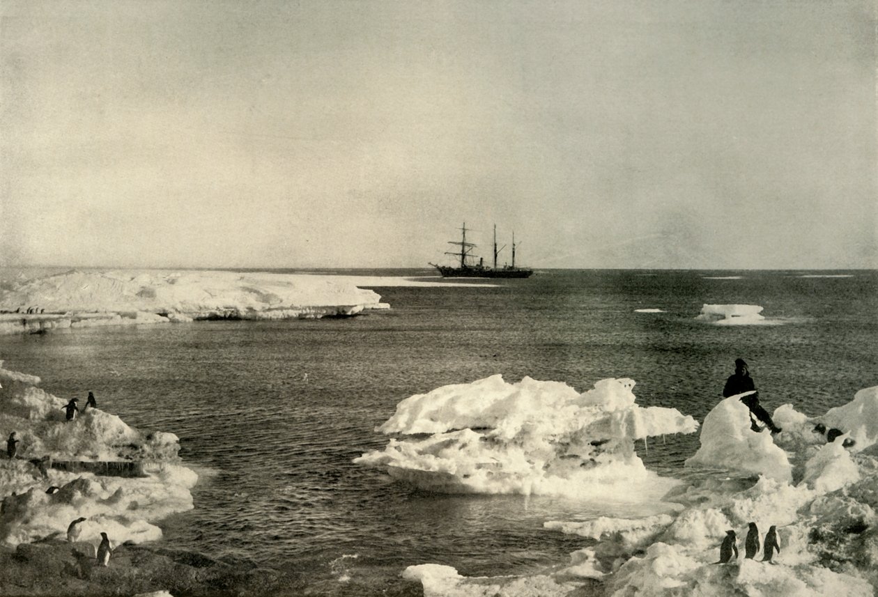 The Nimrod Lying Off The Penguin Rookery، c1908، 1909. بواسطة غير معروف