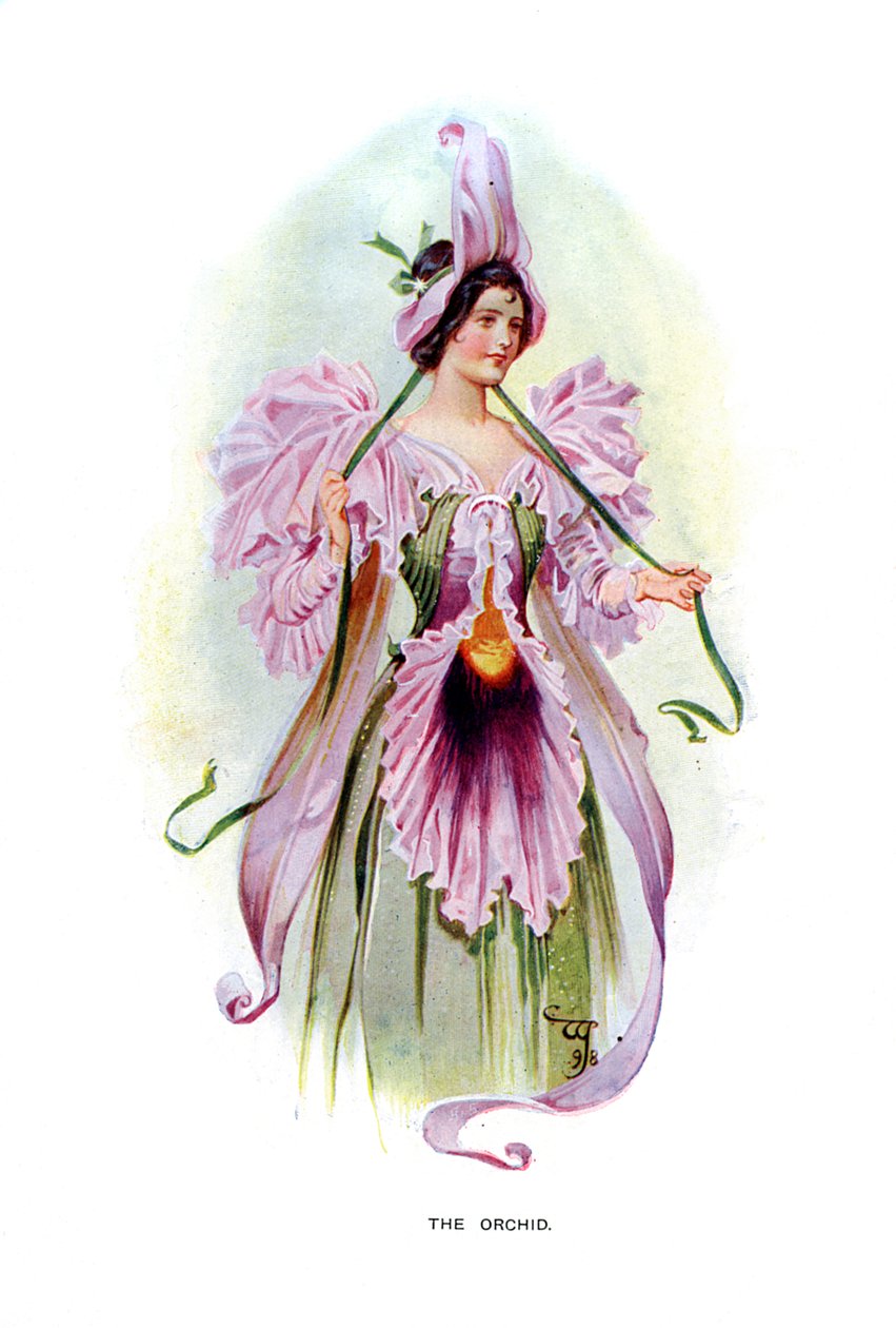 الأوركيد ، 1899 بواسطة غير معروف