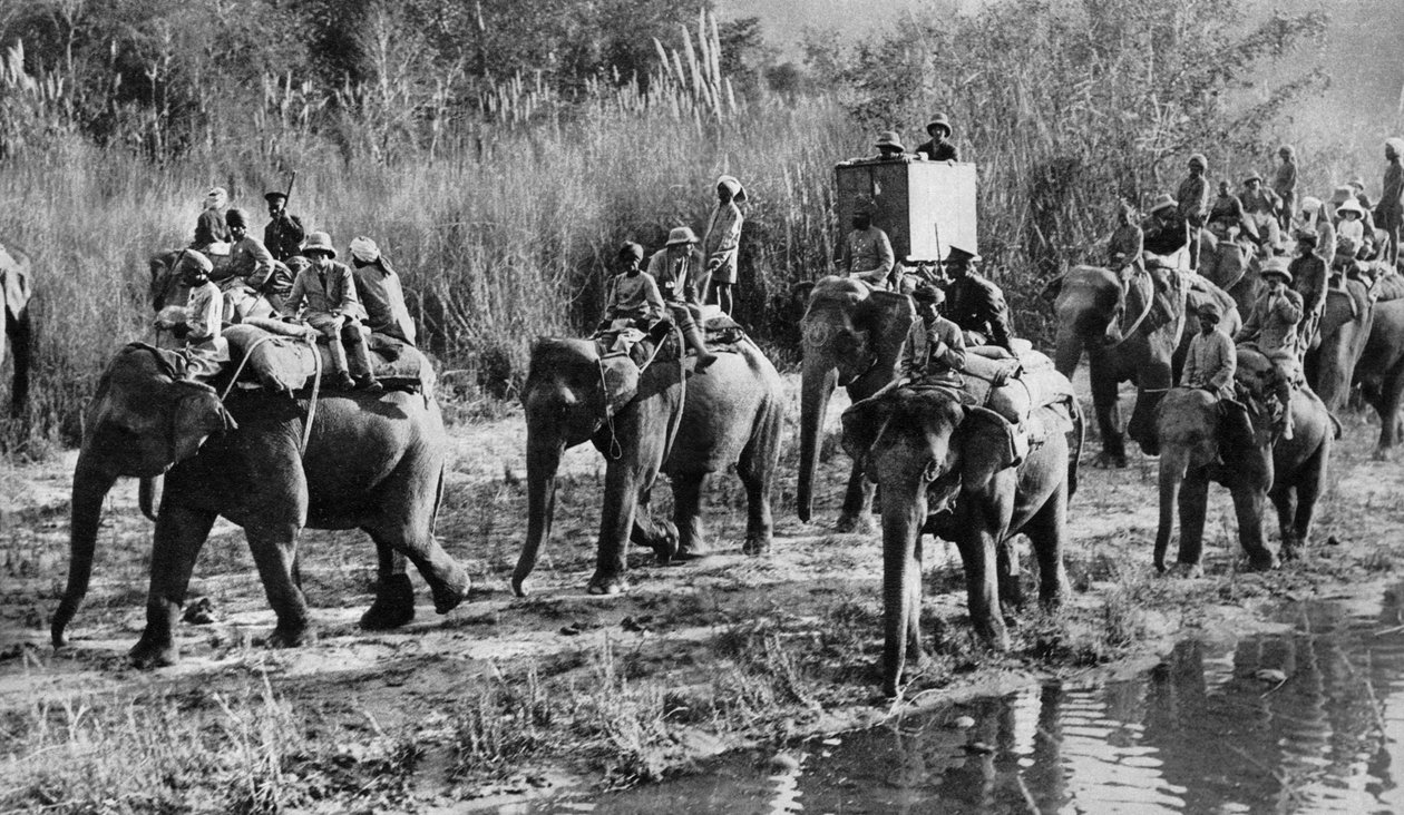 إطلاق النار على أمير ويلز في الهند ، 1921 بواسطة غير معروف