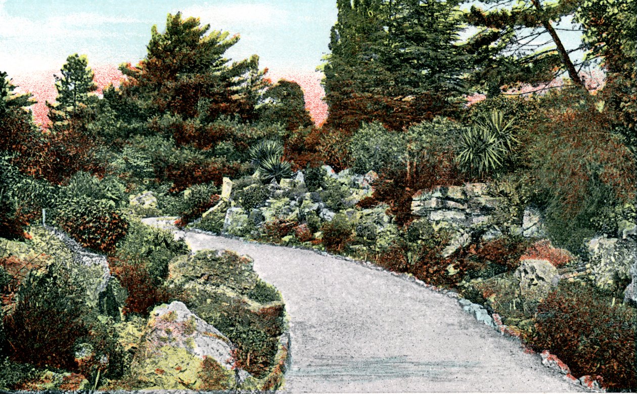 The Rockery ، حدائق كيو ، ريتشموند أبون تيمز ، لندن ، القرن العشرين بواسطة غير معروف